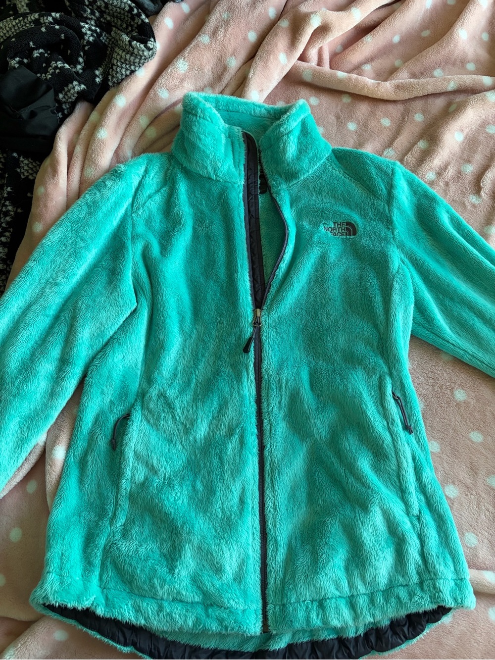 The North Face Teal Plush Teddy Fleece Jacket